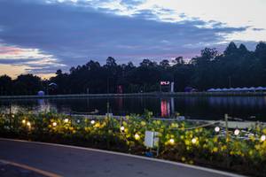 BIB: 
                            <button type="button" onclick="openModal(26554678)" class="btn btn-primary btn-sm float-right btn-popup" data-toggle="modal" data-target=".modal-high-quality">
                        <i class="fas fa-shopping-cart"></i> Add to Cart
                    </button>
                                            <button type="button" onclick="isThisMe(26554678, true)" class="btn btn-success btn-sm float-right btn-popup btn-isme hidden" data-toggle="tooltip" data-placement="bottom" title="นี่คือรูปของคุณใช่ไหม คลิกที่นี่เพื่อเอาเข้าอัลบั้ม">
                        <i class="fas fa-plus"></i> Add to album
                    </button>
                    <button type="button" onclick="isThisMe(26554678, false)" class="btn btn-warning btn-sm float-right btn-popup btn-isnotme hidden">
                        <i class="fas fa-ban"></i> Remove from album
                    </button>